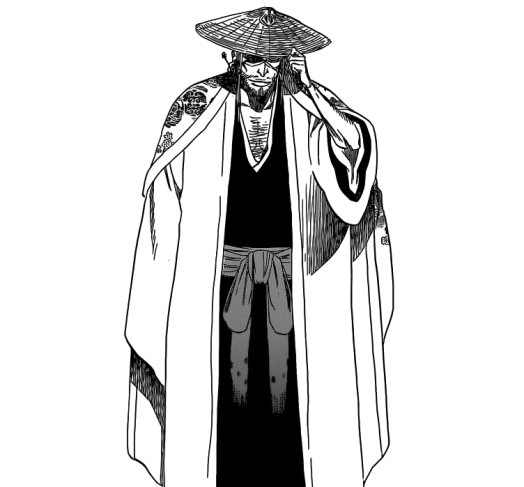 Shunsui appears in front of Ichigo's friends