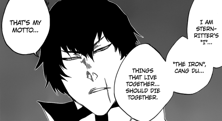 Cang Du Stern Ritter I The Iron