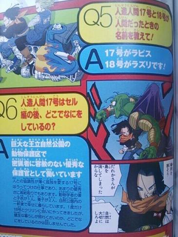 Dragon Ball Z Android 17 and 18 Names Lapis Lazuli