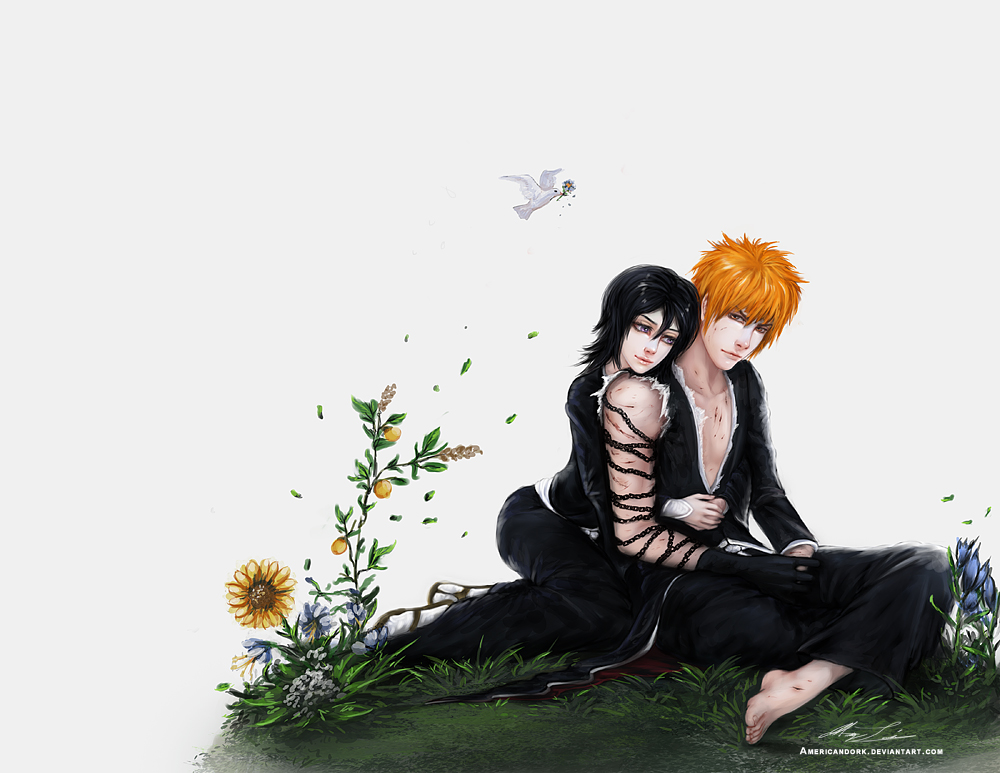 Bleach Ichigo and Rukia by americandork