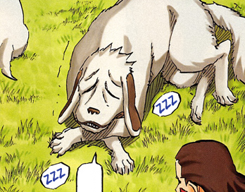Akamaru Older
