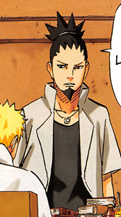 Shikamaru Nara Older