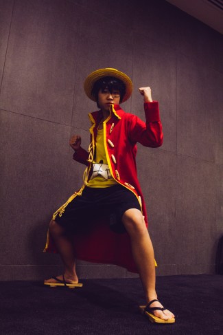 One Piece Luffy Film Z by jlrave