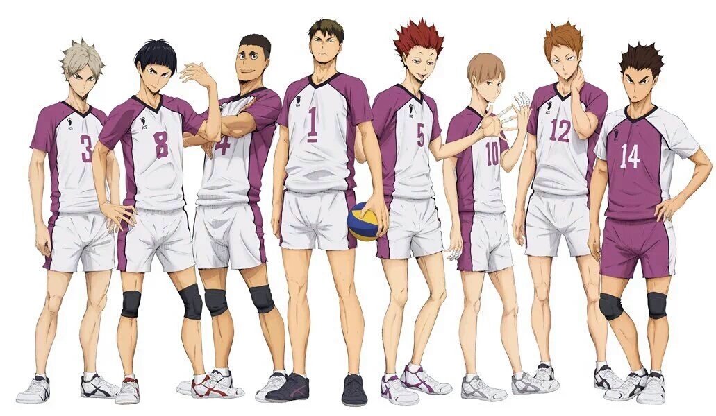 Shiratorizawa Academy Haikyuu