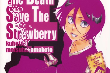 Details On Upcoming 2 Bleach&nbsp;Novels