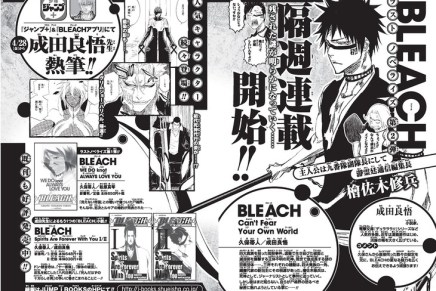 Bleach: Can’t Fear Your Own World Novel Prepares For&nbsp;Release